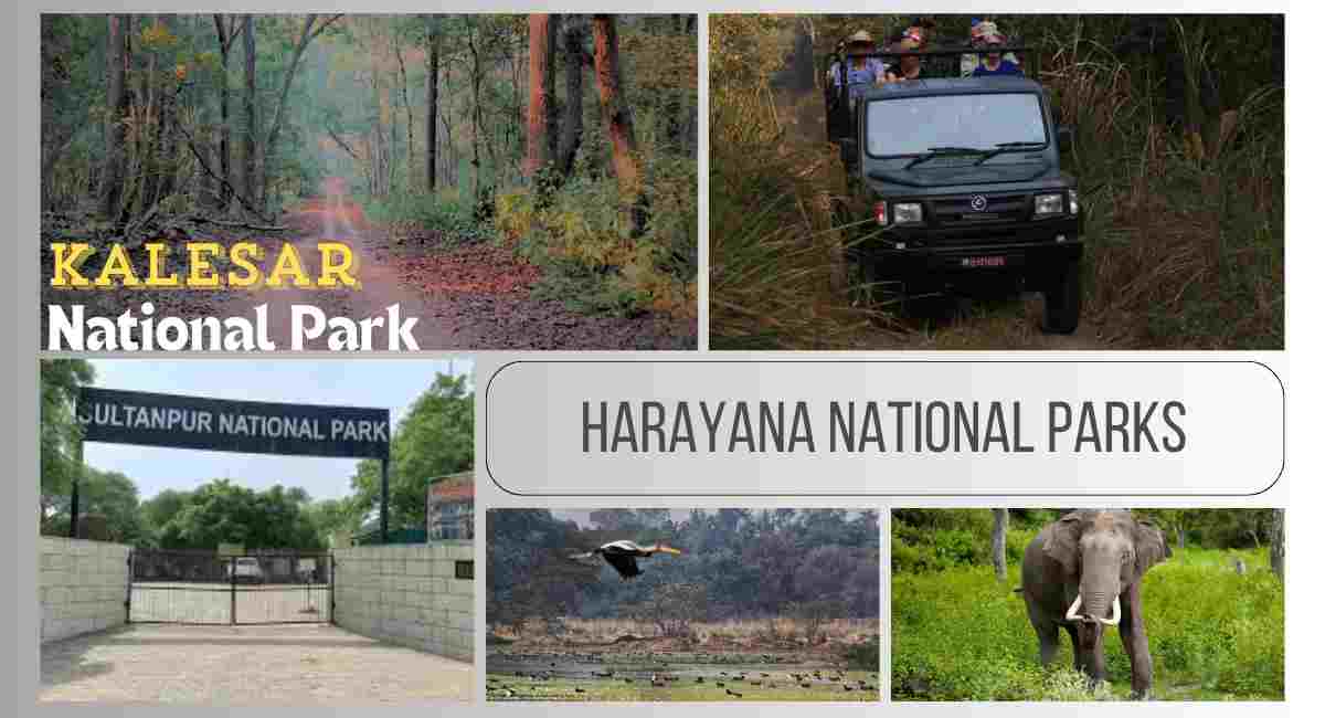 Haryana National Parks